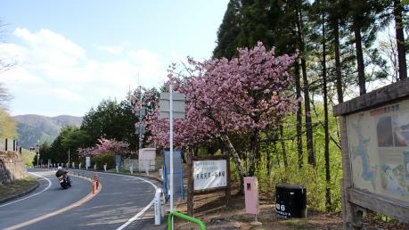 130506-021.jpg