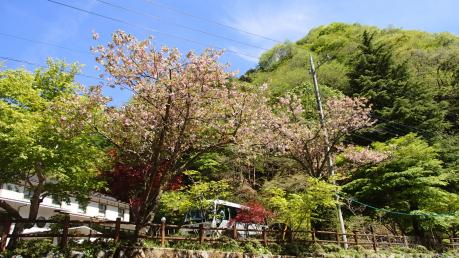 130512-031.jpg