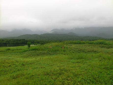 DSC_0097.jpg