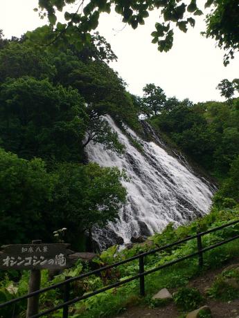 DSC_0100.jpg
