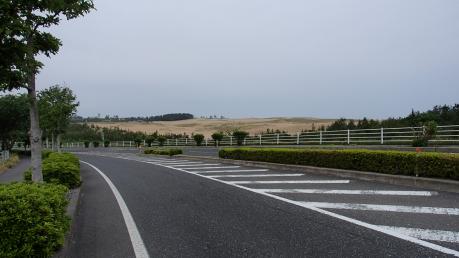 P5270455.jpg