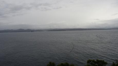 P5280554.jpg