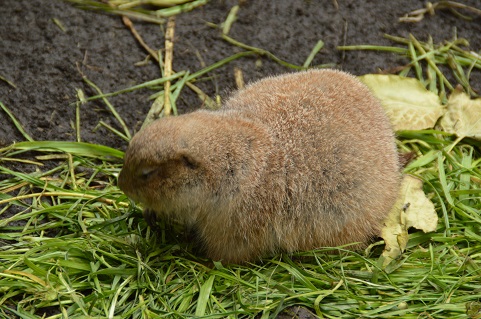 DSC_0508.jpg