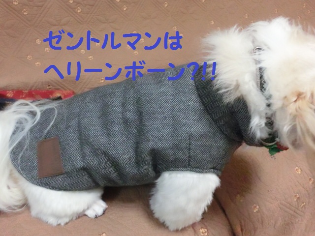 CIMG0090.jpg