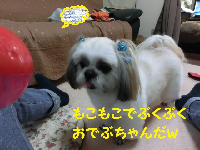CIMG0100.jpg