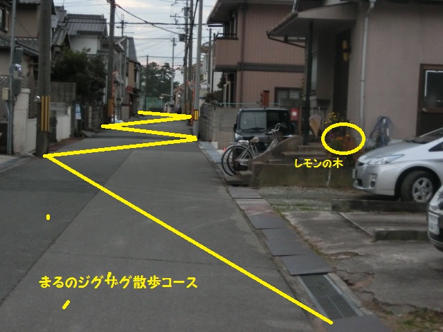 CIMG2140.jpg