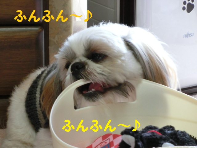 CIMG2211.jpg