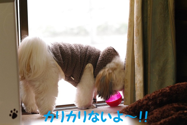 IMGP7629.jpg