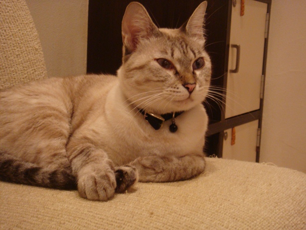 DSC03842.jpg