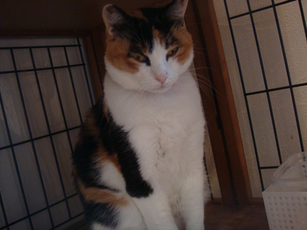 DSC04071.jpg