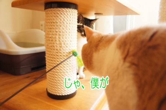 2013311-5.jpg