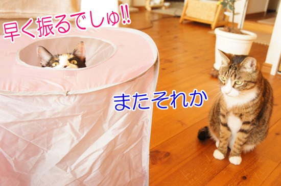 2013322-3.jpg