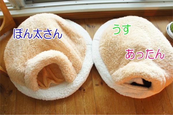 2014131-1.jpg