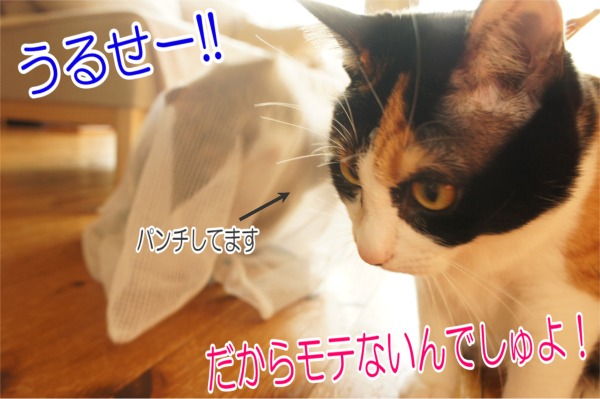 201427-9.jpg