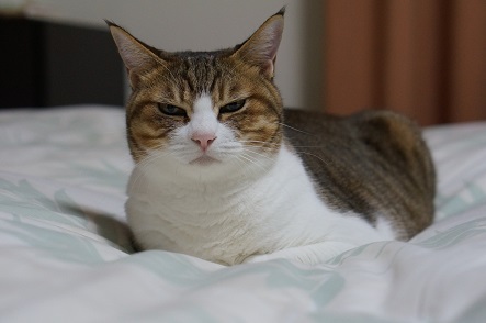 この場所はもらった