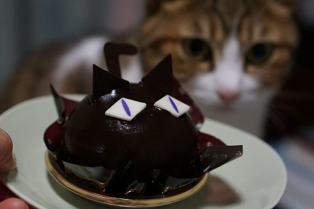 黒猫型チョコレートケーキ