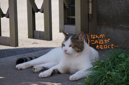 命名『かつら』君