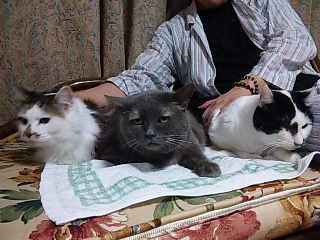 121002_225127.jpg
