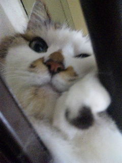 121004_233027.jpg