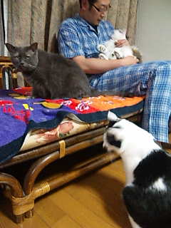 121012_194303.jpg