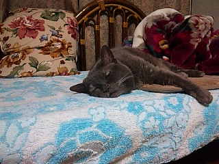 130104_223526.jpg