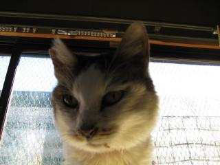 IMG_0105_20121012011113.jpg