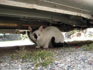 IMG_0158_convert_20121217224745.jpg