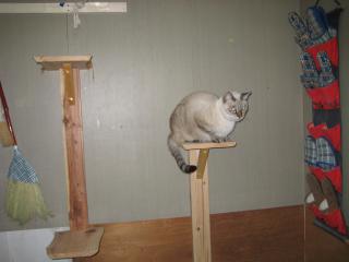 IMG_0356_20121109000433.jpg