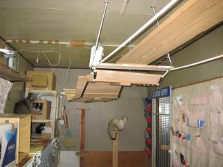 IMG_0358_20121109000659.jpg