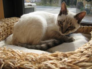IMG_1007_convert_20121130023842.jpg