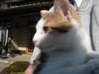 IMG_1075.jpg
