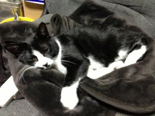 IMG_6087_20130109012424.jpg