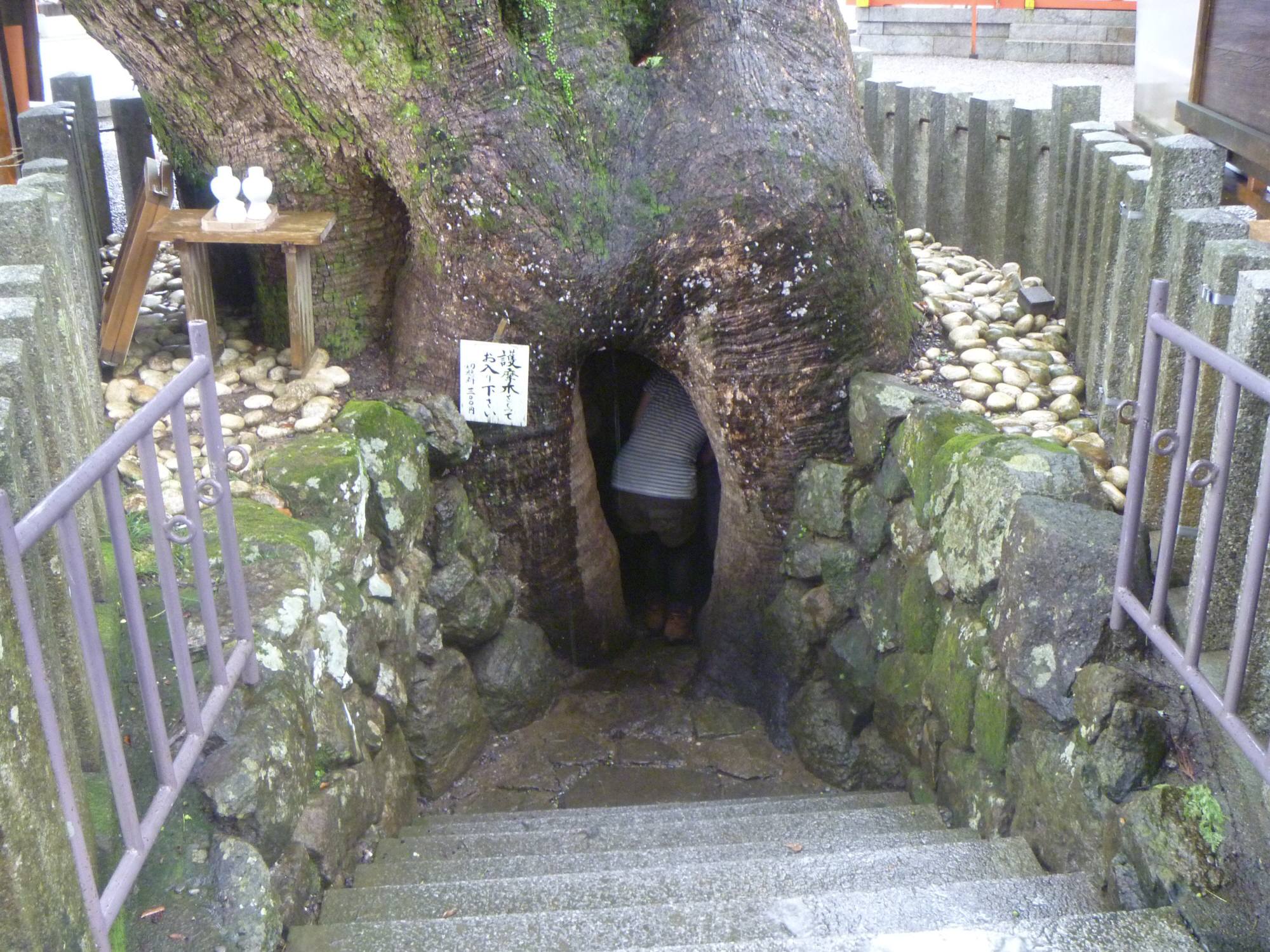 P1010331.jpg