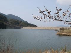 P1030672_R.jpg
