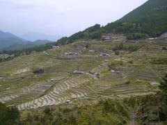 P1030750_R.jpg