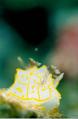 AE0865F1.jpg