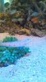 DSC_0041.jpg