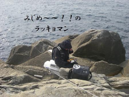 H25,2,23(4)