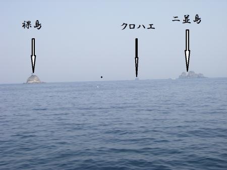 H25,3,9(2)