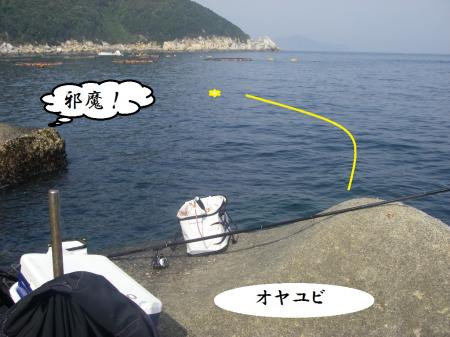 H25,3,9(3)