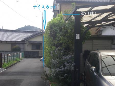 H25,3,24(1)