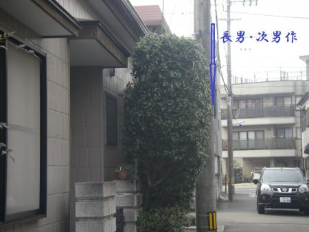 H25,3,24(2)