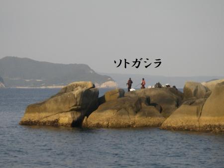 H25,5,5(4)