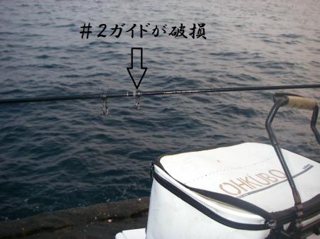 H25,5,5(7)