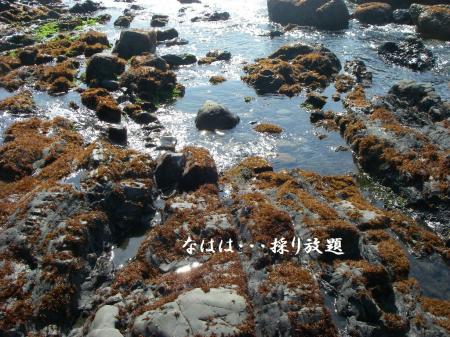 H26,1,31(2)