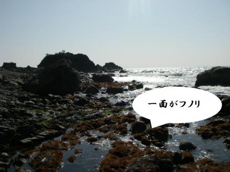 H26,1,31(1)