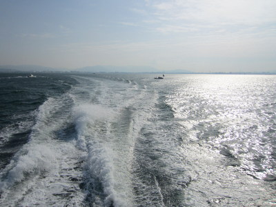 IMG_6736.jpg