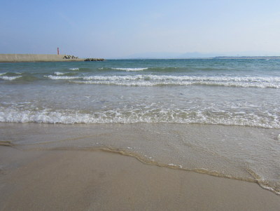 IMG_6740.jpg