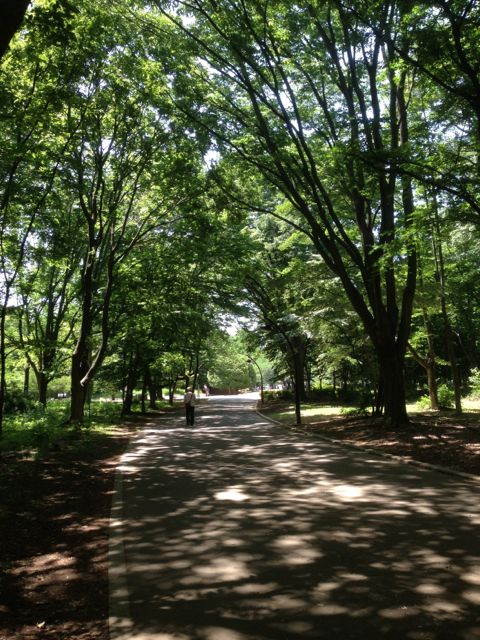 光が丘公園