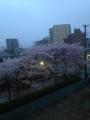 2013040201.jpg